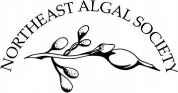 NEAS Logo